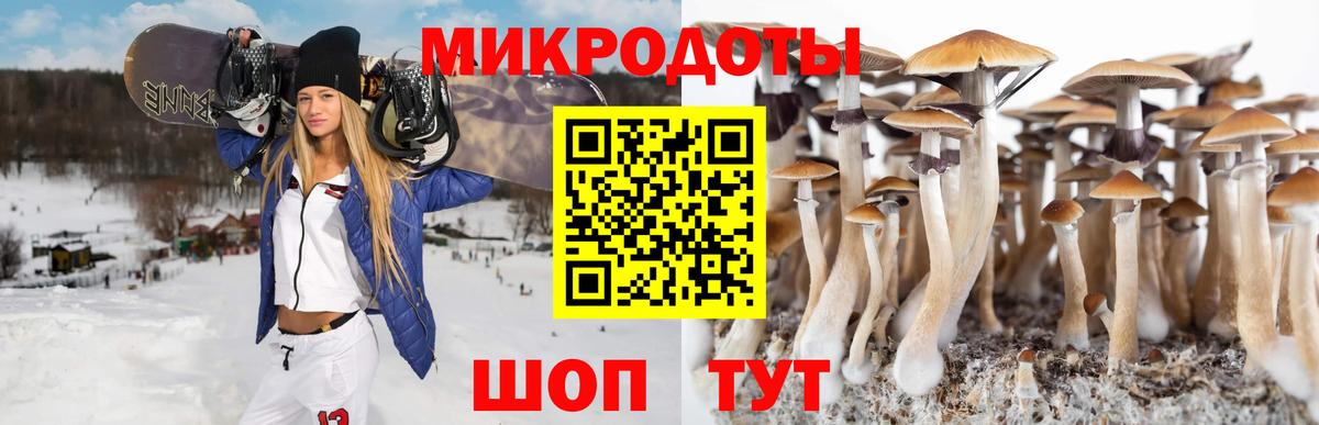 Галлюциногенные грибы MAGIC MUSHROOMS  Галлюциногенные грибы Psilocybine cubensis  Кизилюрт  Вход с VPN 